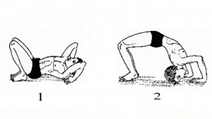 chakrasana step