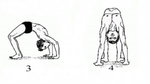 chakrasana steps