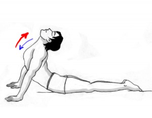 cobra pose