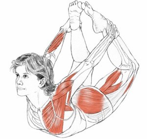 dhanurasana benefits