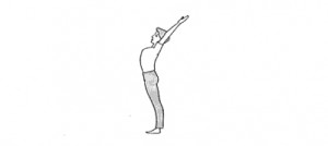 surya namaskar step2