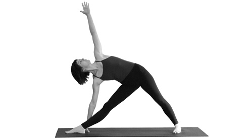 benefits and pose steps kurmasana tiryaka palm benefits and swaying benefits steps tadasana tree benefits and pose steps kurmasana tiryaka palm benefits and swaying benefits steps tadasana tree