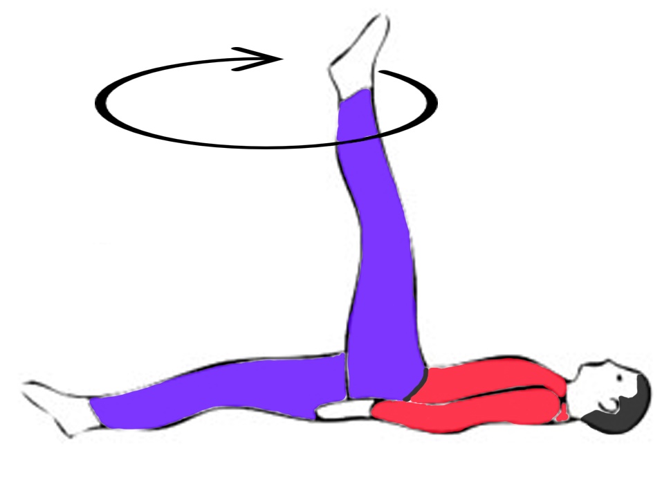 padvritasana-single-leg-circle