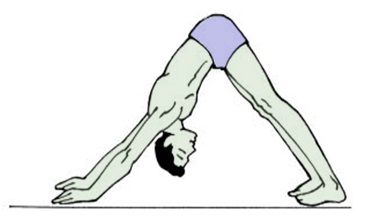 Adho Mukha Svanasana