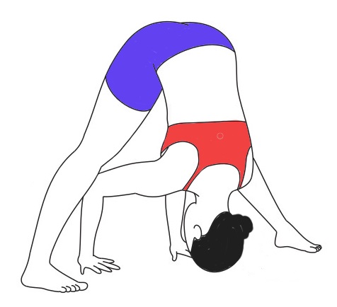 prasarita-padottanasana-wide-legged-forward-bend-pose-steps