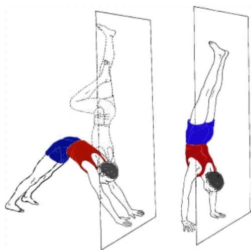 Adho-Mukha-Vrksasana-Handstand-Yoga-Pose-Steps