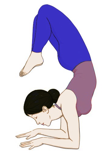 Vrschikasana-yoga-Scorpion-Pose-Steps