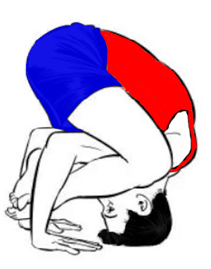 Shoulder-Pressing-Pose-Bhujapidasana-yoga-steps-benefits