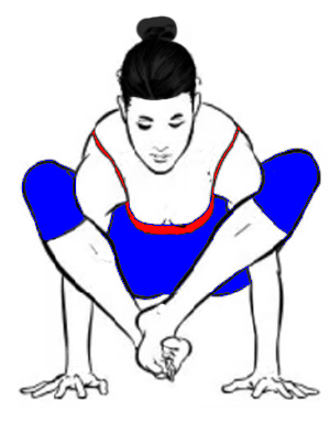 Shoulder-Pressing-Pose-Bhujapidasana-yoga-steps