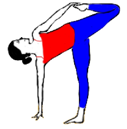 Sugarcane-Yoga-Pose-Ardha-Chandra-Chapasana-yoga-steps-benefits