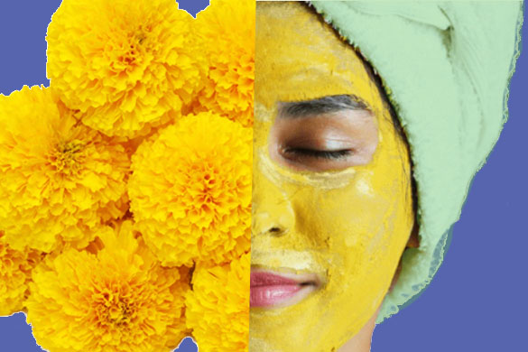 Genda-Marigold-Flower-face-pack