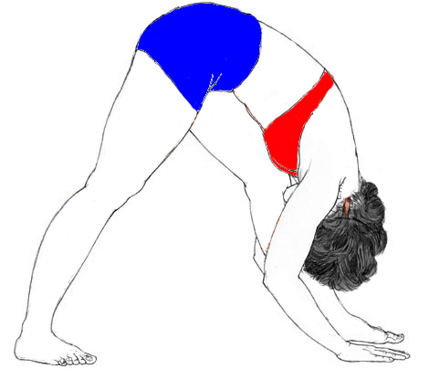 Parsvottanasana-Pyramid-Pose-yoga-steps-benefits