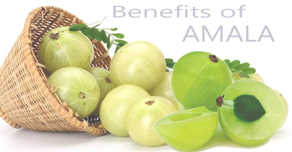 Benefits-of-Amala-for-health