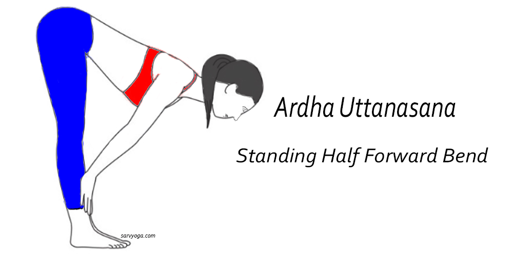 Ardha-Uttanasana-Standing-Half-Forward-Bend-yoga-Steps-Benefits
