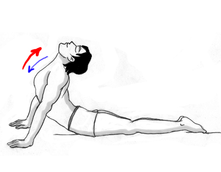 cobra pose bhujangasana