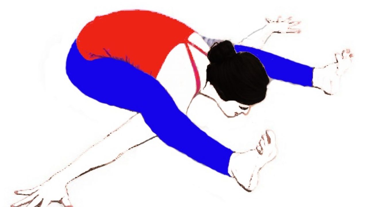 Kurmasana Benefits In English Kurmasana Benefits In English
