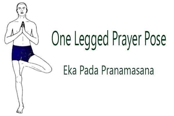 What Balance Teaches Us: One-Legged Standing Poses