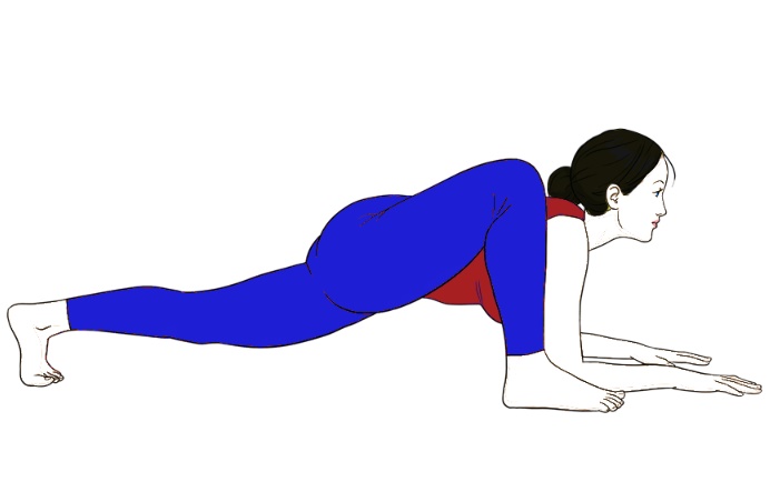 Utthan Pristhasana (Lizard Pose) - Sarvyoga | yoga