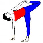 11+ Ardha Matsyasana Steps 11+ Ardha Matsyasana Steps