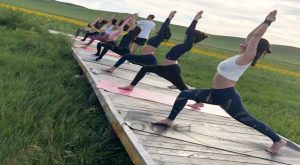 Career-Options-after-Yoga-Teacher-Training-in-India Career-Options-after-Yoga-Teacher-Training-in-India