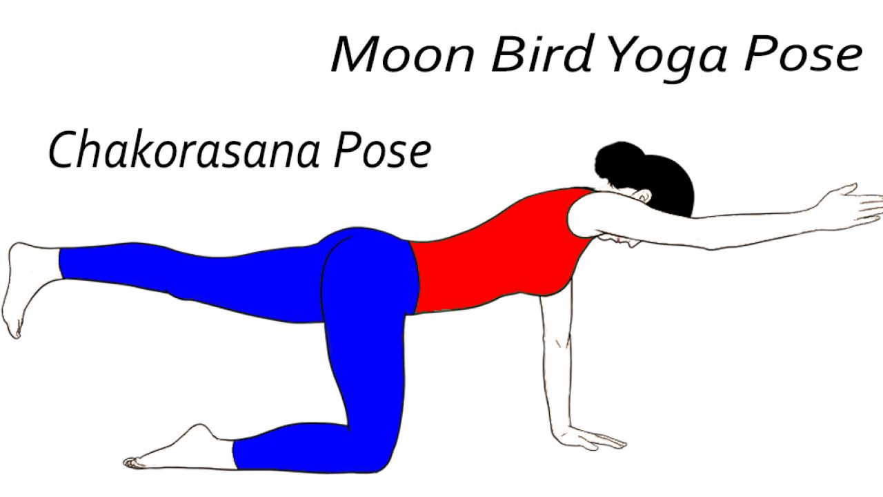Chakorasana Pose (Moon Bird Yoga Pose) - Sarvyoga yoga Chakorasana Pose (Moon Bird Yoga Pose) - Sarvyoga yoga