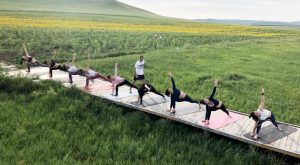 Yoga-Teacher-Training-in-India-and-Careers-rishikkesh