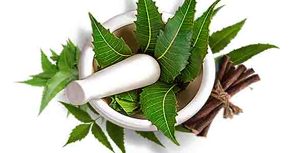 neem to cure pimples naturally